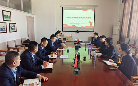 標(biāo)題：銷(xiāo)售黨支部召開(kāi)組織生活會(huì)暨民主評(píng)議黨員會(huì)議
瀏覽次數(shù)：654
發(fā)表時(shí)間：2025-02-26